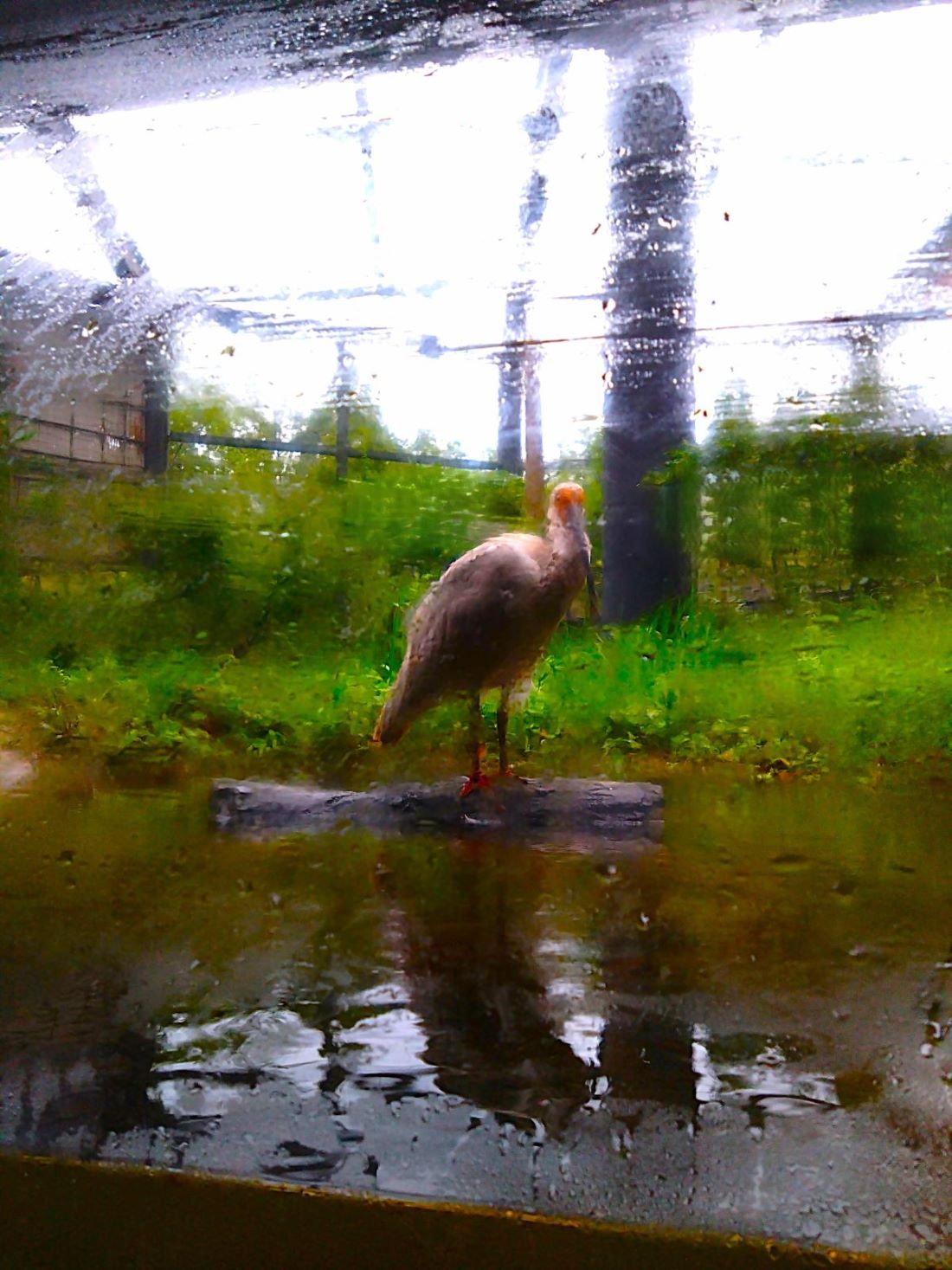 佐渡ヶ島社員旅行